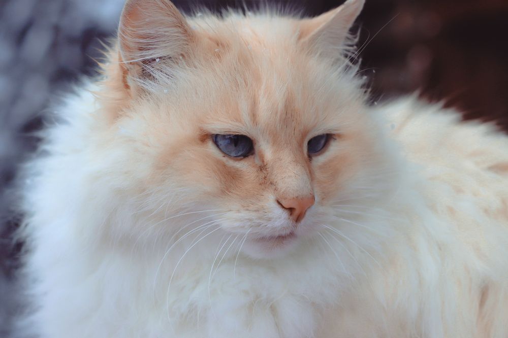 Photograph by Михаил Костыря