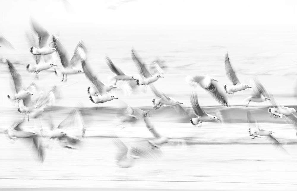 Photograph by Deepak KGK