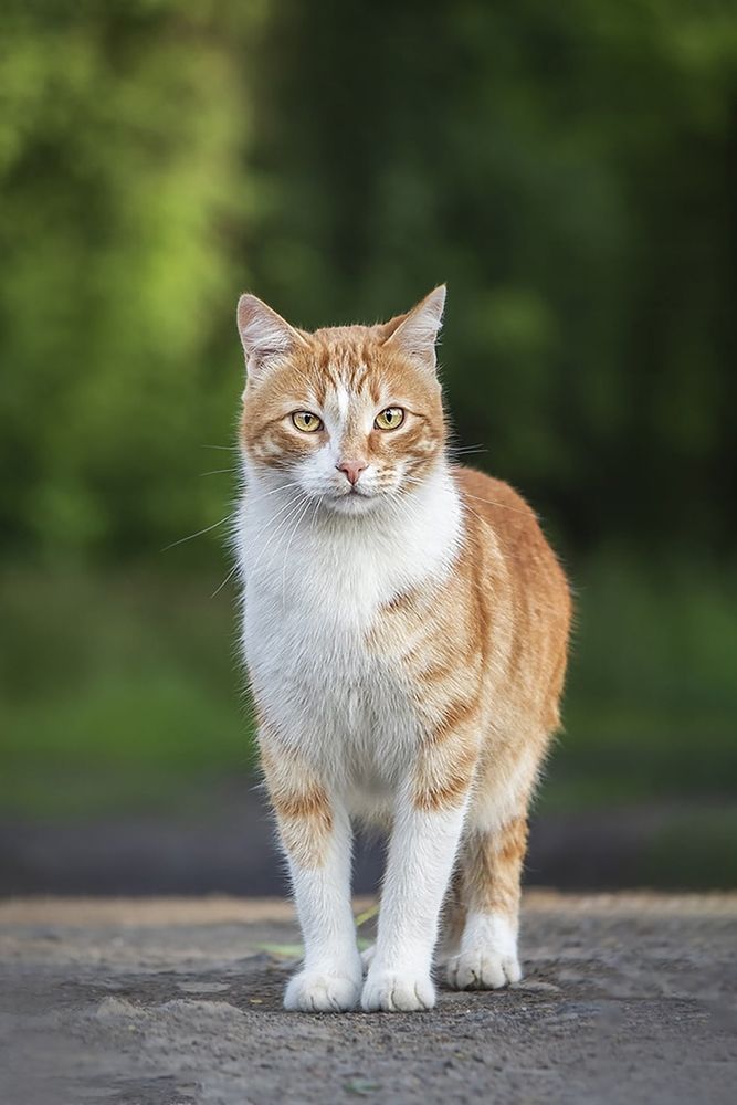 Photograph by Екатерина Атавина