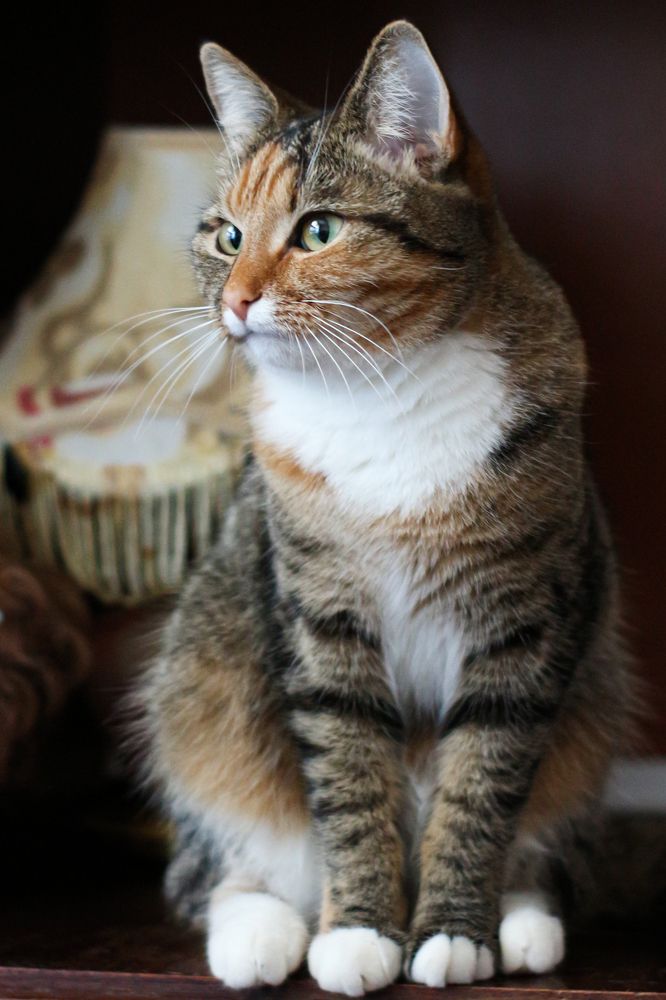 Photograph by Михаил Костыря