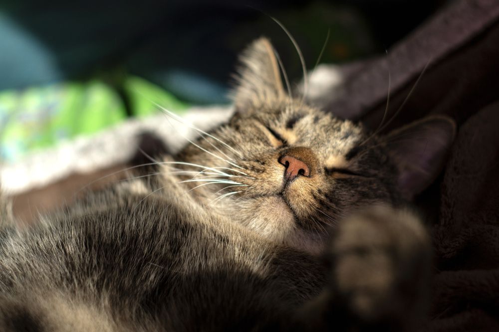 Photograph by Olga Smirnova