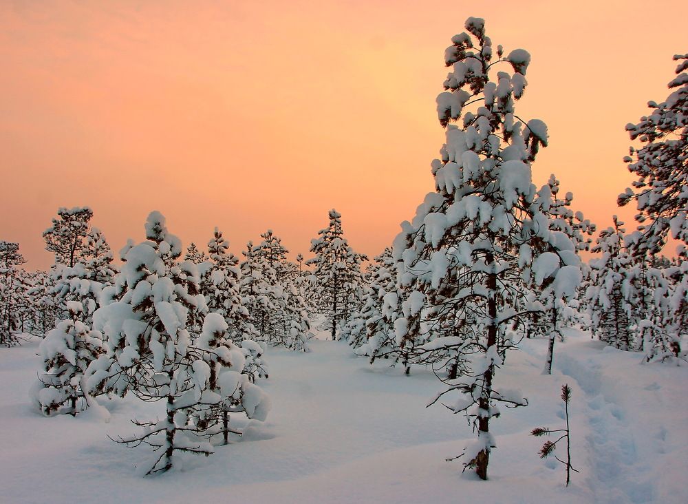 Photograph by Sergei Petrov