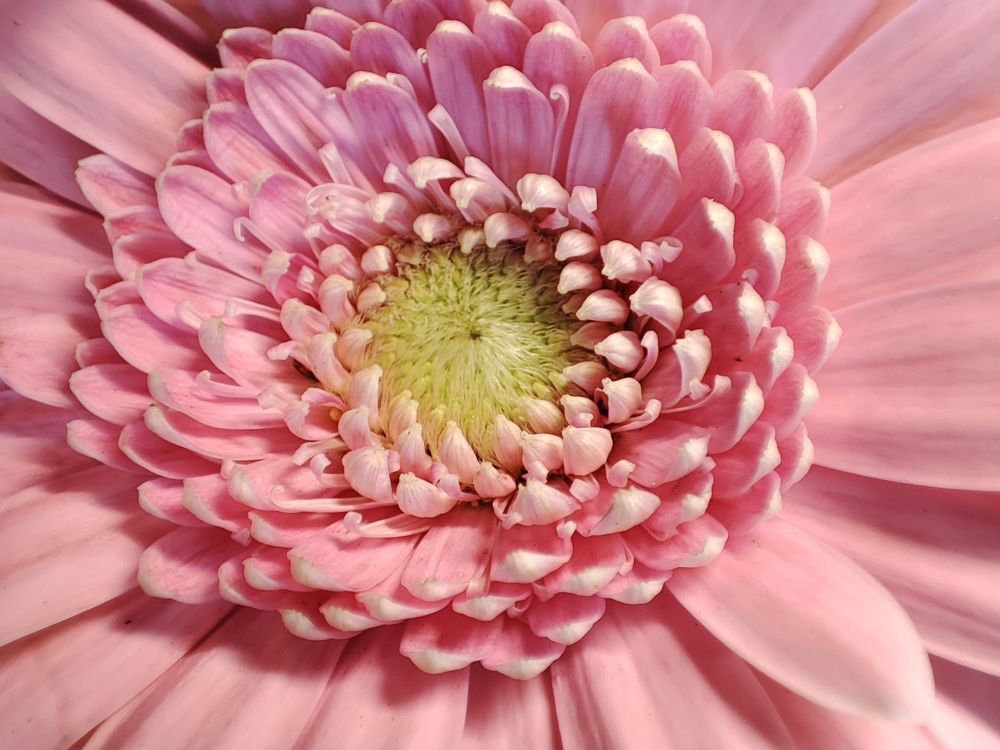 Photograph by Елена Горева