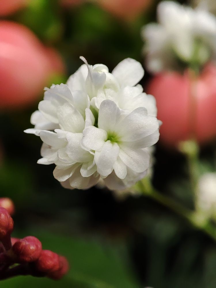 Photograph by Елена Горева