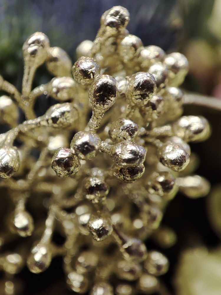 Photograph by Елена Горева