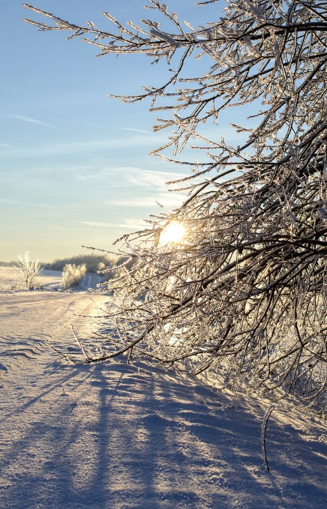 Photograph by Анна Федотова