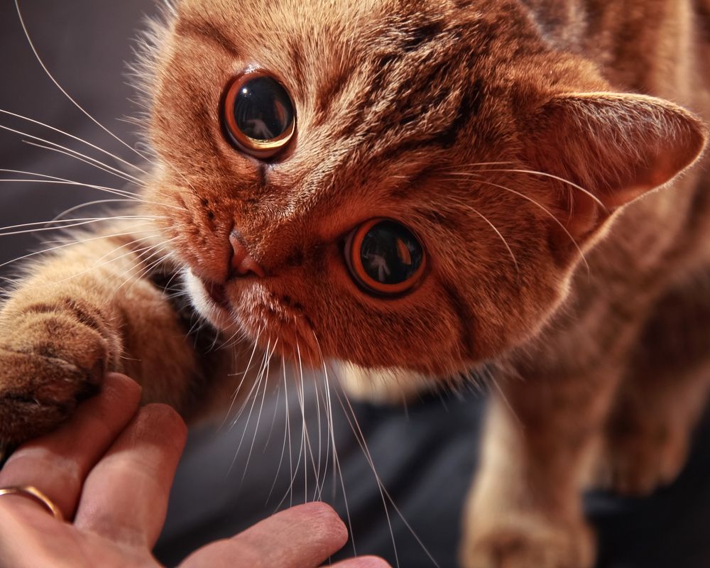 Photograph by Ольга Томилова