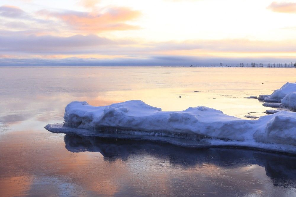 Photograph by Anna Grin