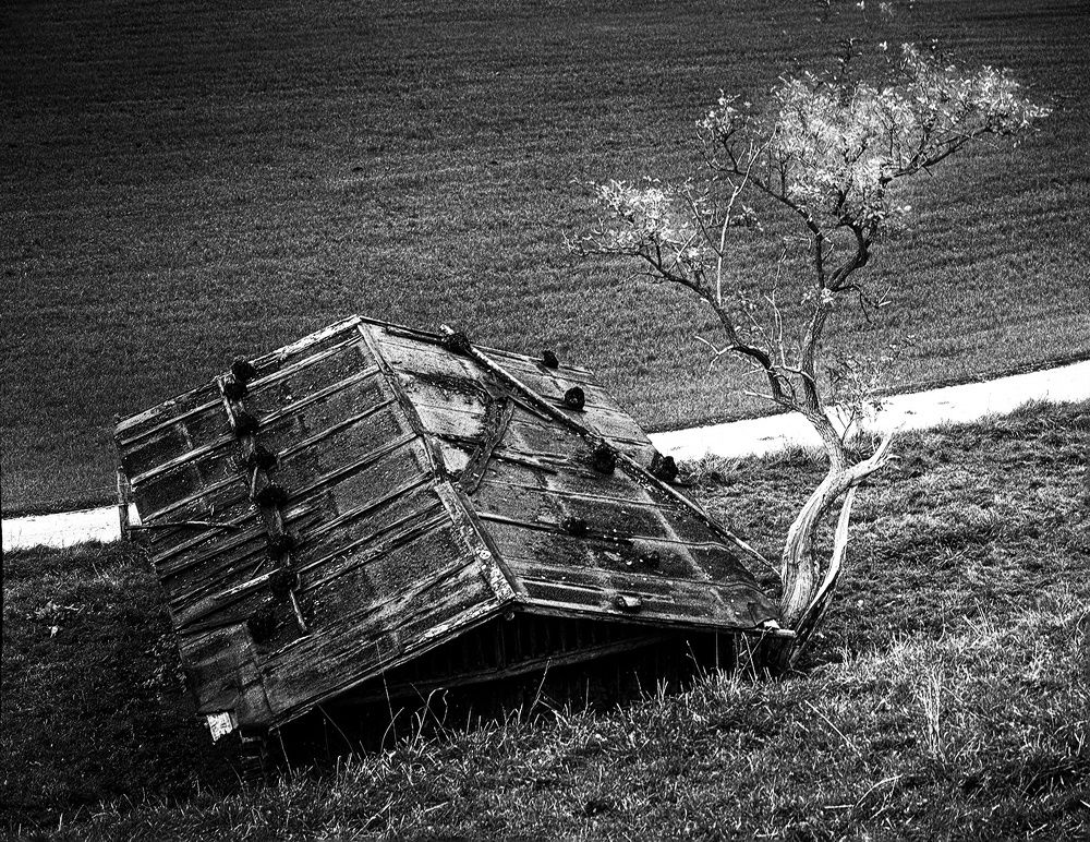 Photograph by Наталья Болотенков