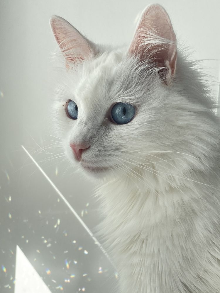 Photograph by Анна Зернова