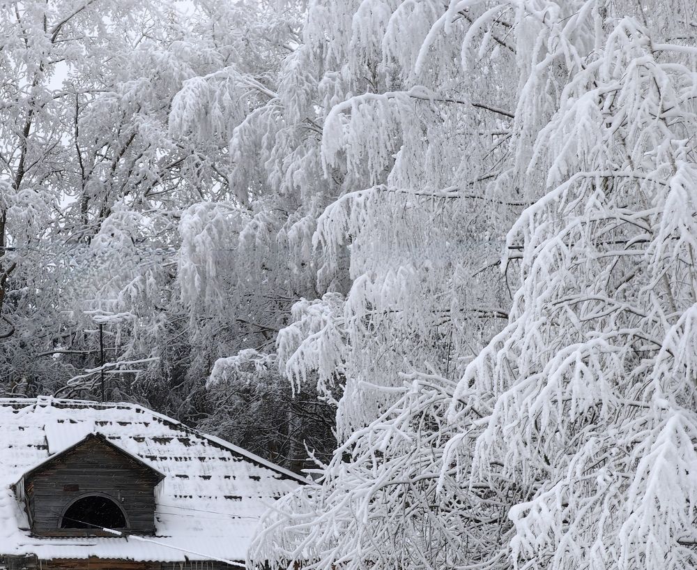 Photograph by Alexandr