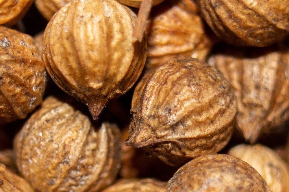 Photograph by Анна Крюкова