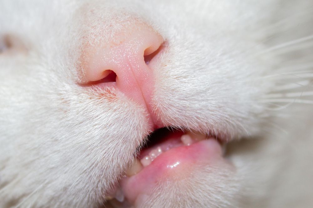 Photograph by Анна Крюкова