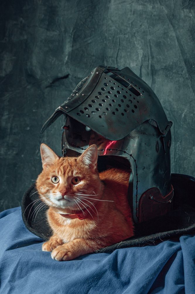 Фотография автора Ольга