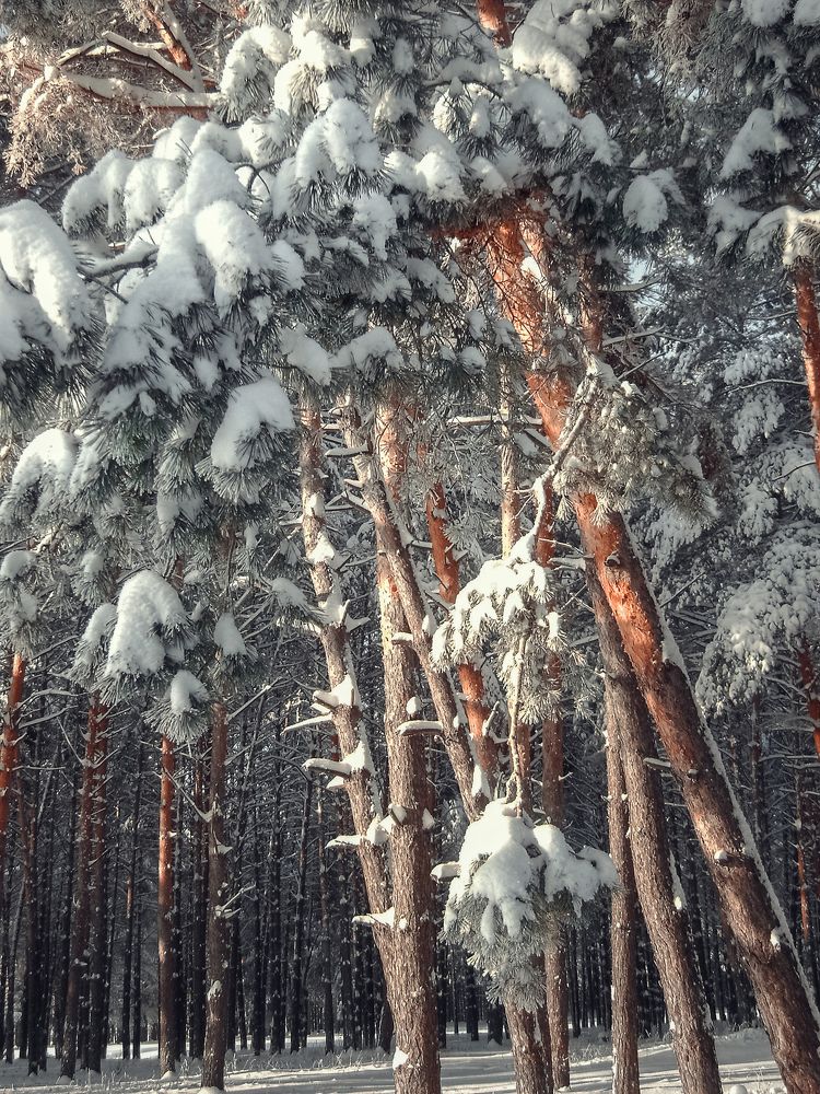 Photograph by Ольга Томилова