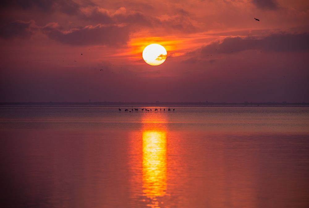 Photograph by lluis garcia rovira