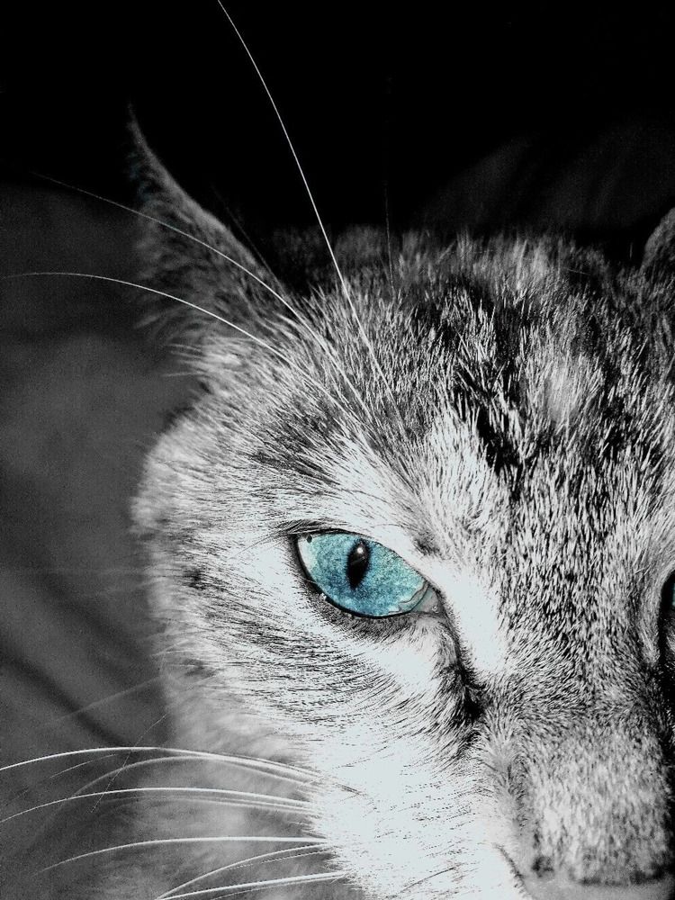 Photograph by Кристина Шмырева