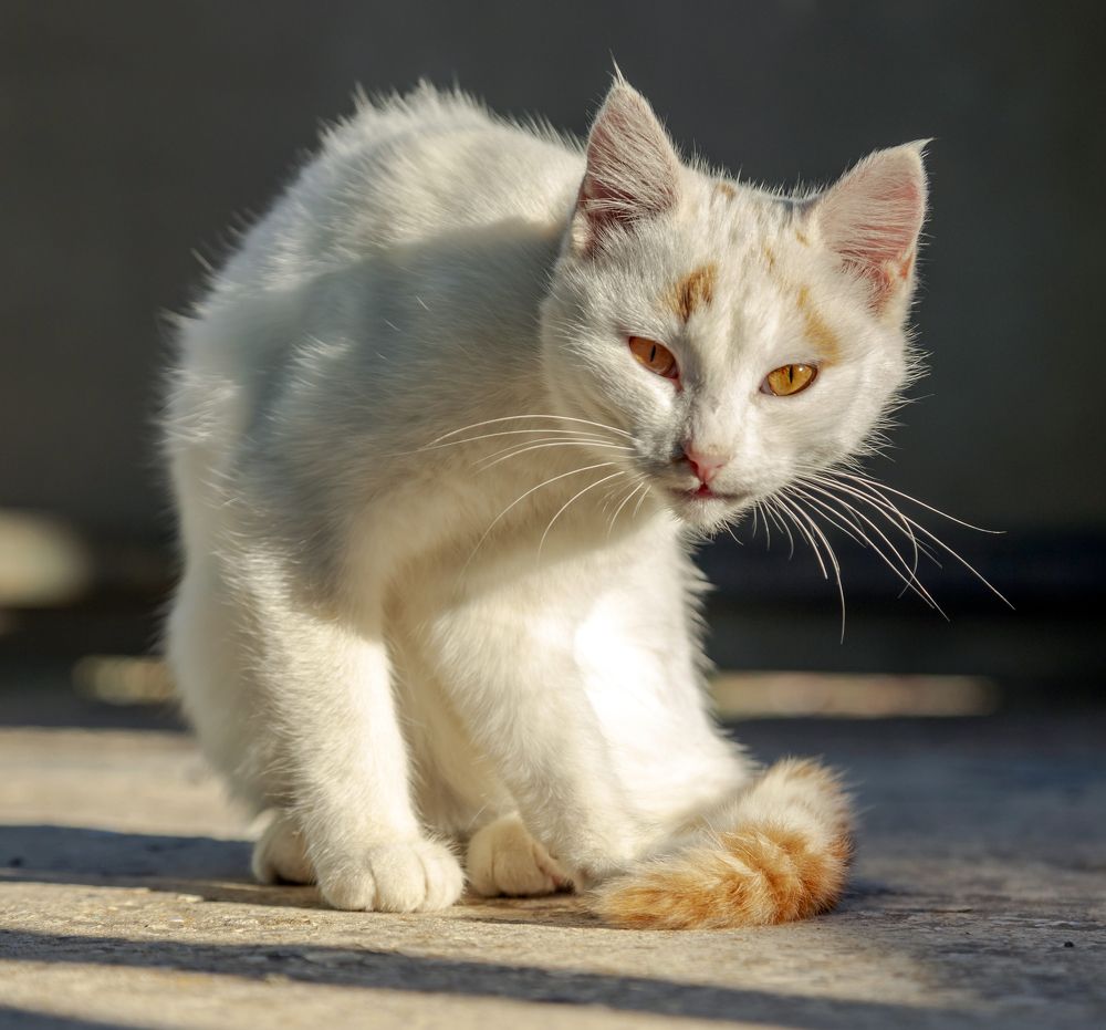 Photograph by Александр Евстафьев