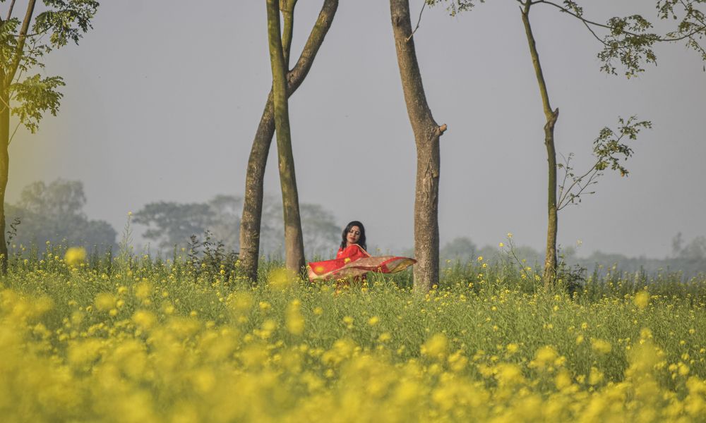 Фотография автора Minhaj Mahmood