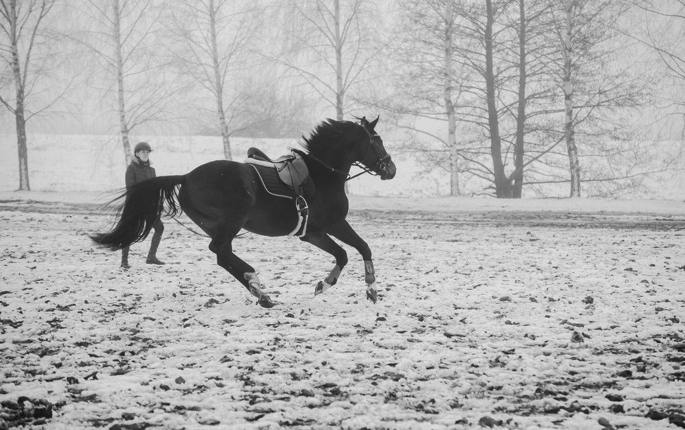 Фотография автора Aлексей Игнатьев