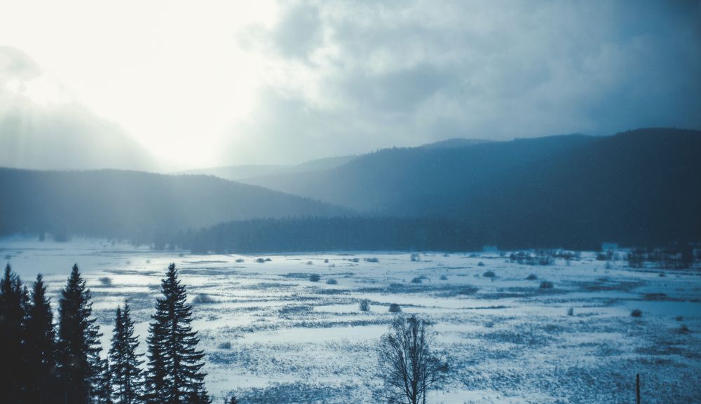 Photograph by Полина Сюзёва