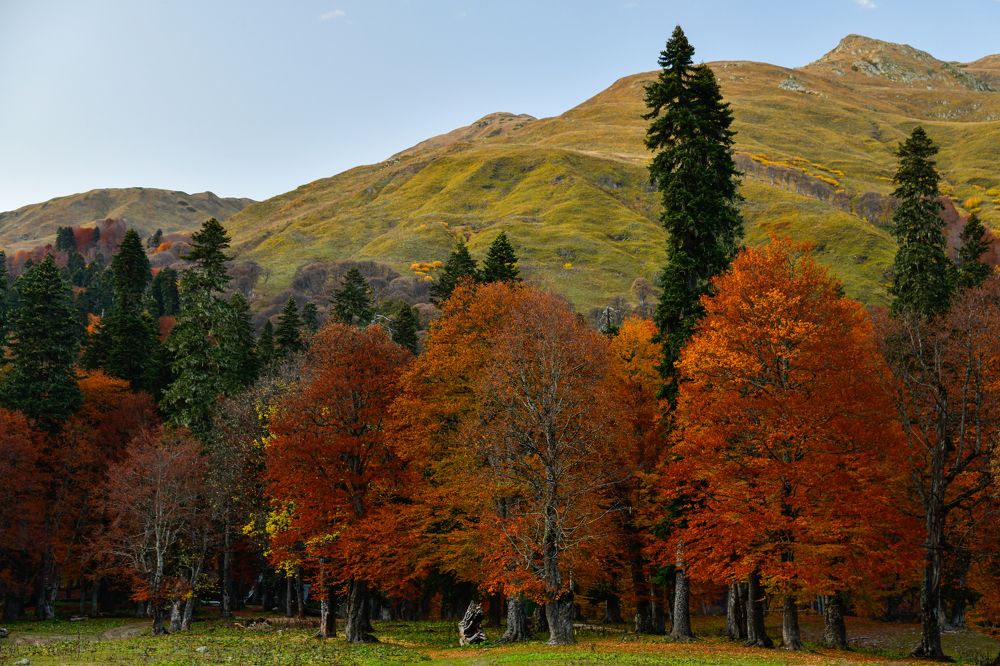 Photograph by Олег Корешонков