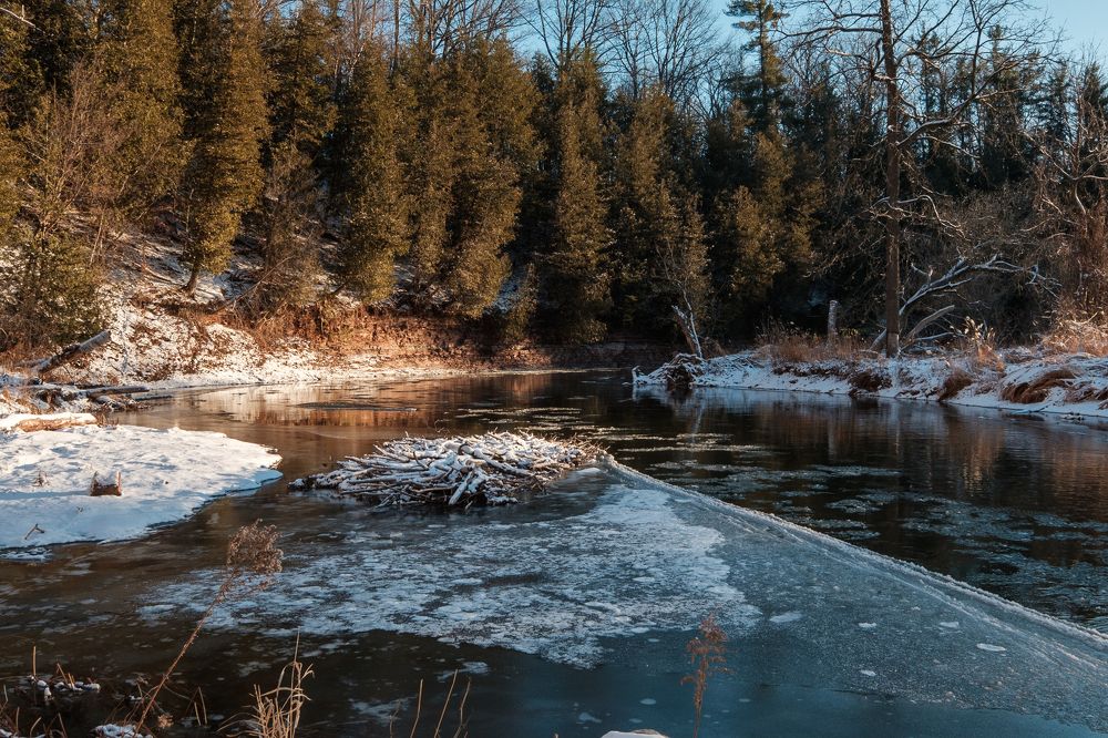 Photograph by Greg Noakes