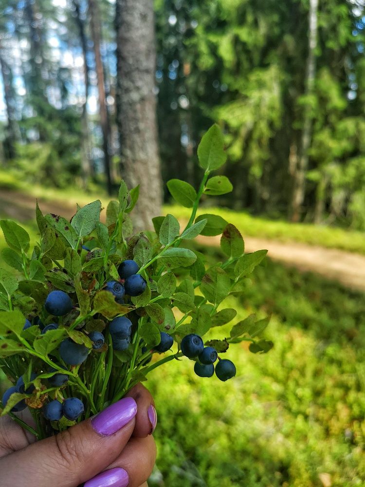 Photograph by Екатерина Борисовна Кузьмина