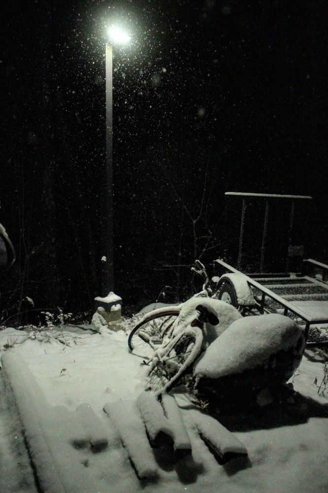 Photograph by Sean Qin