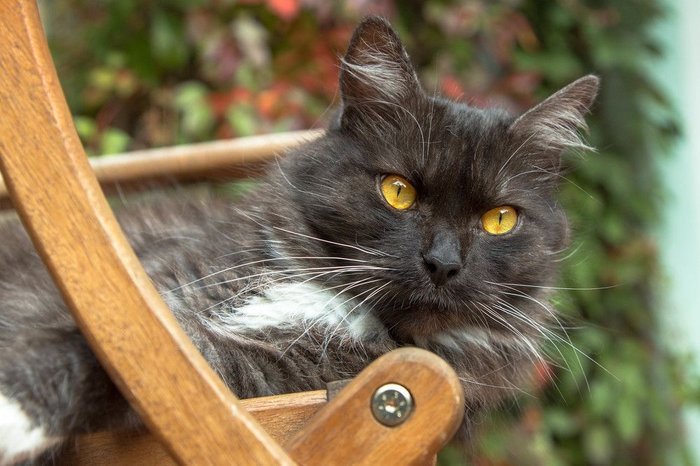 Photograph by Наталья Брюхненко