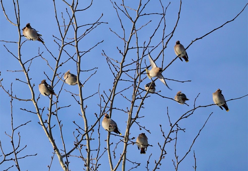 Photograph by Михаил Трусов