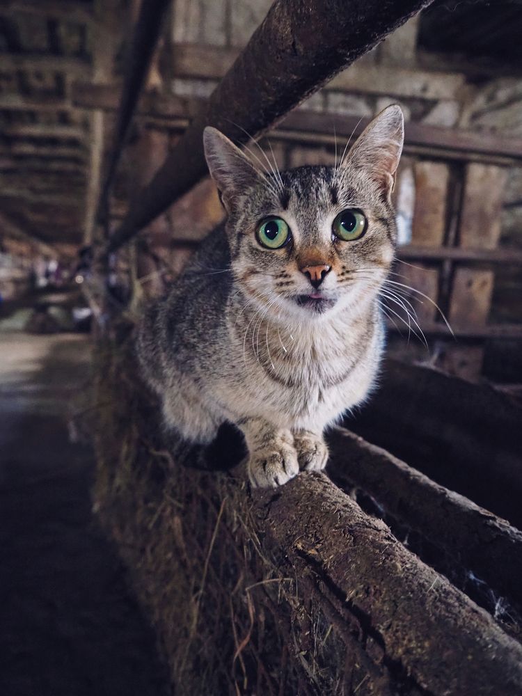 Photograph by Мария Байбарина