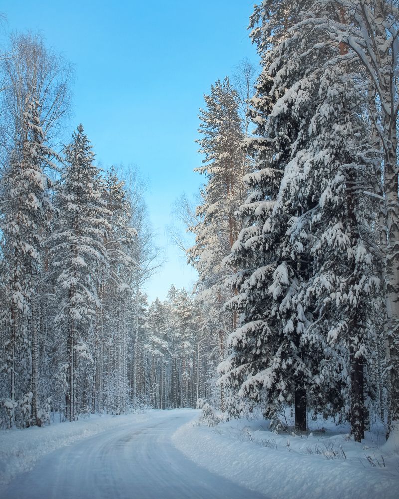 Photograph by Ольга Томилова