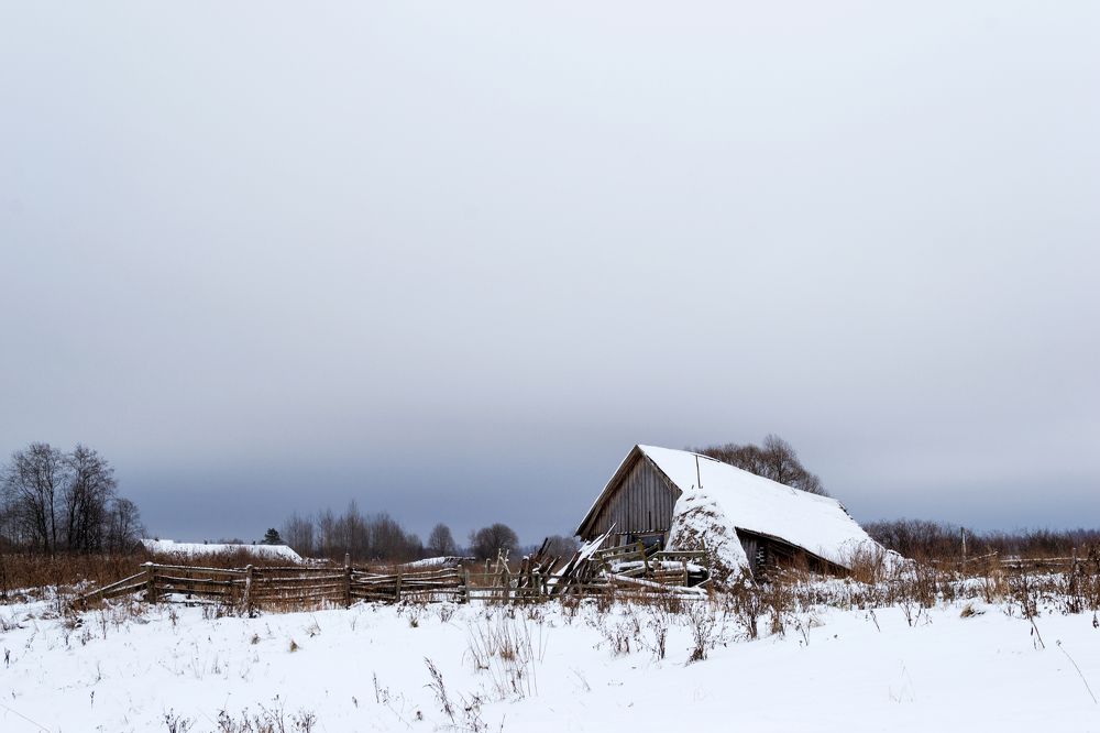 Photograph by Nikita