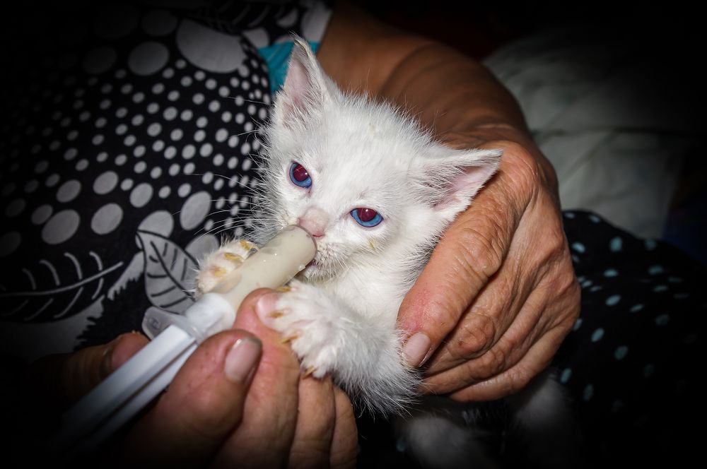 Фотография автора Ксения Смирнова