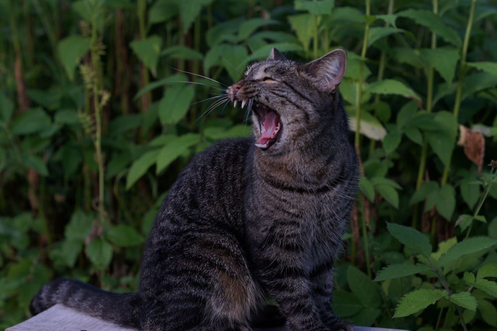 Photograph by Людмила Щепилова