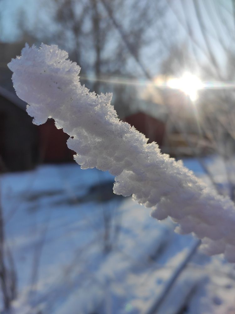 Photograph by Сидорова Ирина