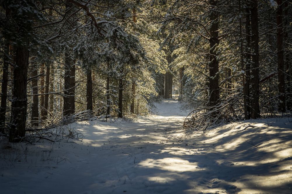 Photograph by Васенин Павел