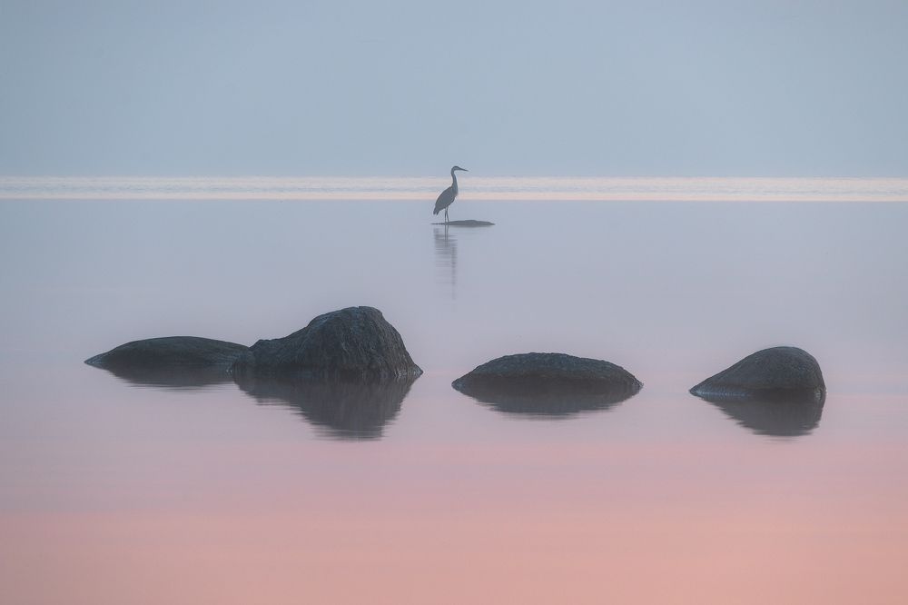 Photograph by Валерий Притченко