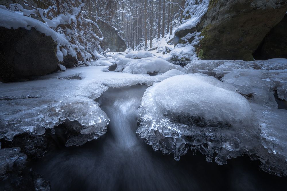 Photograph by Luboš Prchal