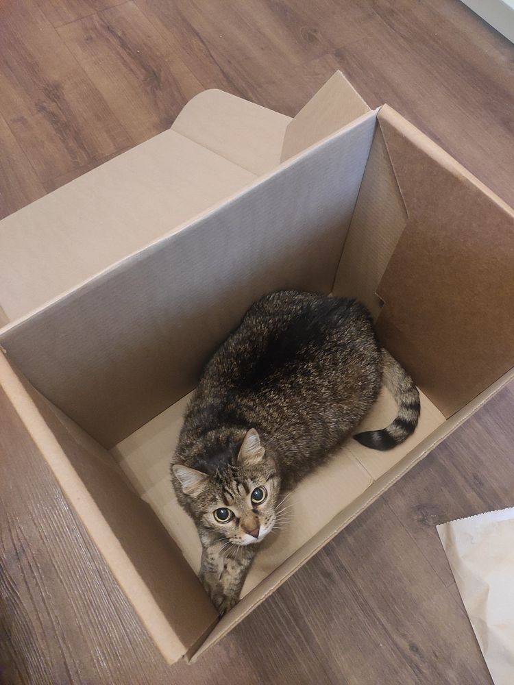 Photograph by Сидорова Ирина