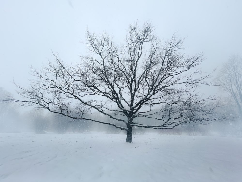 Photograph by Михаил Гордий