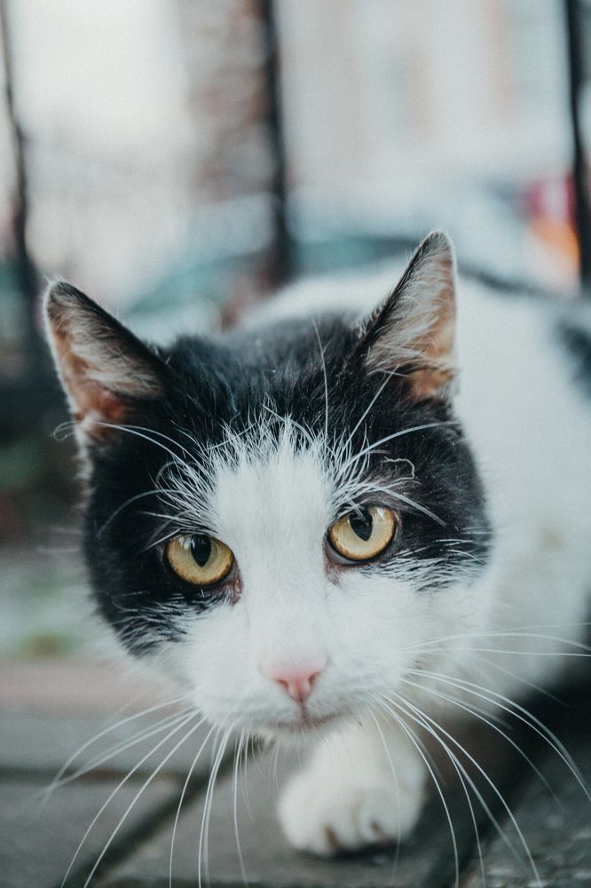 Photograph by Nikita