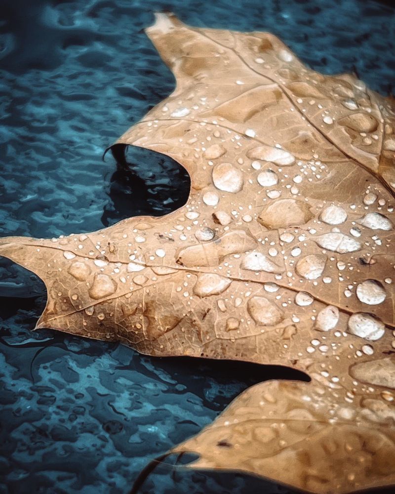 Photograph by Ольга Скиба