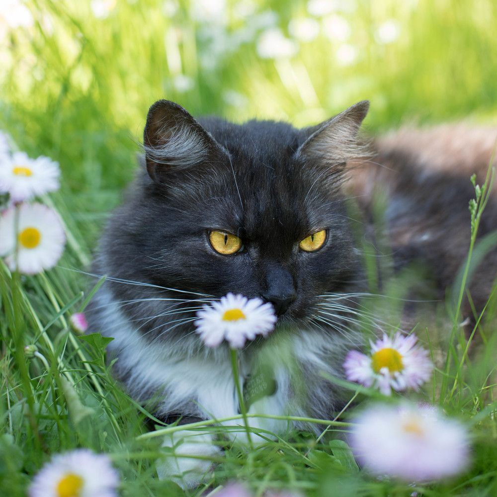 Photograph by Наталья Брюхненко