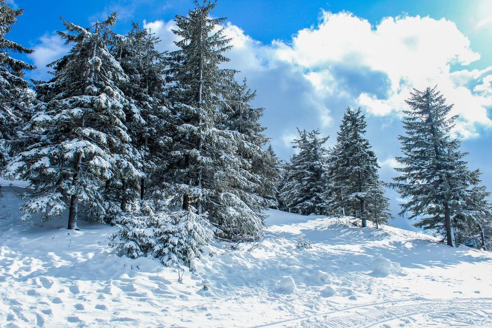 Photograph by Ольга Кривенцова