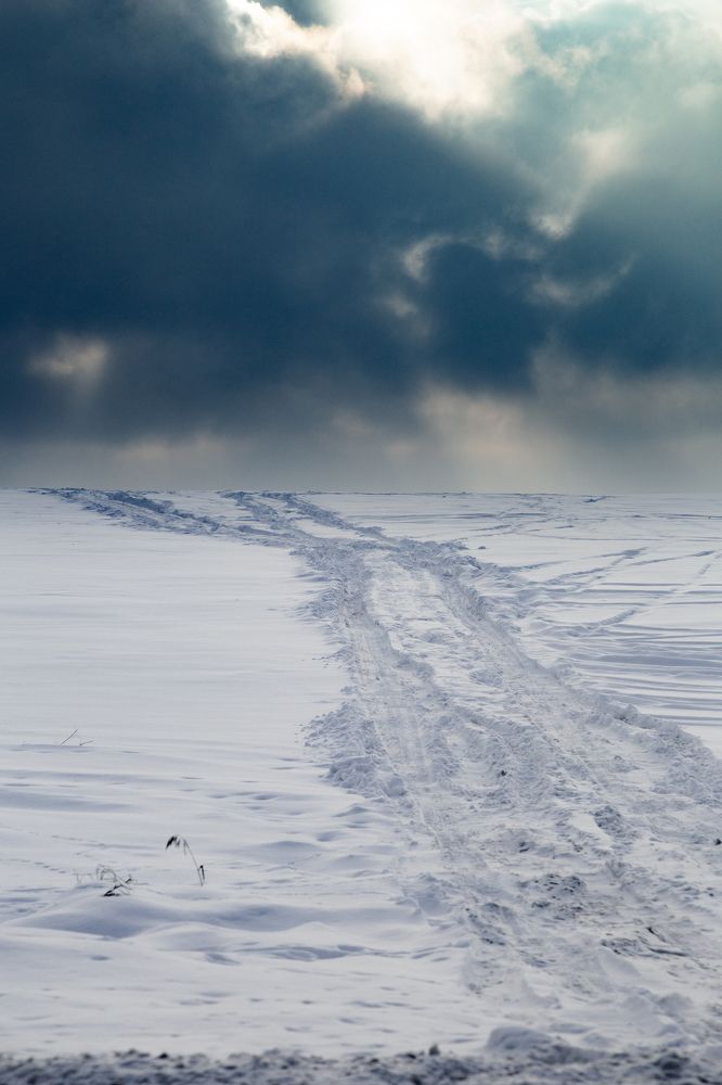 Фотография автора Ольга