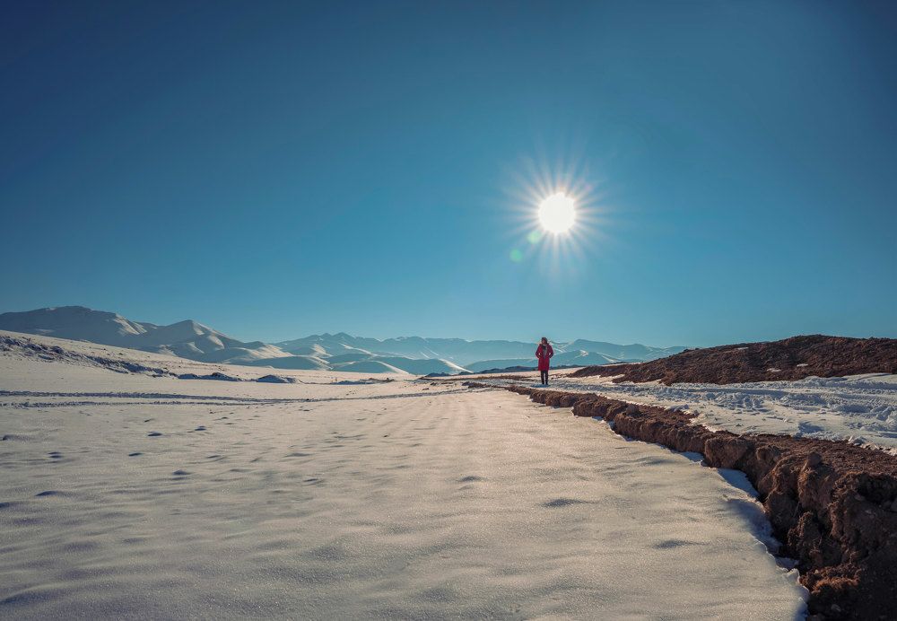 Photograph by Reza Heydari