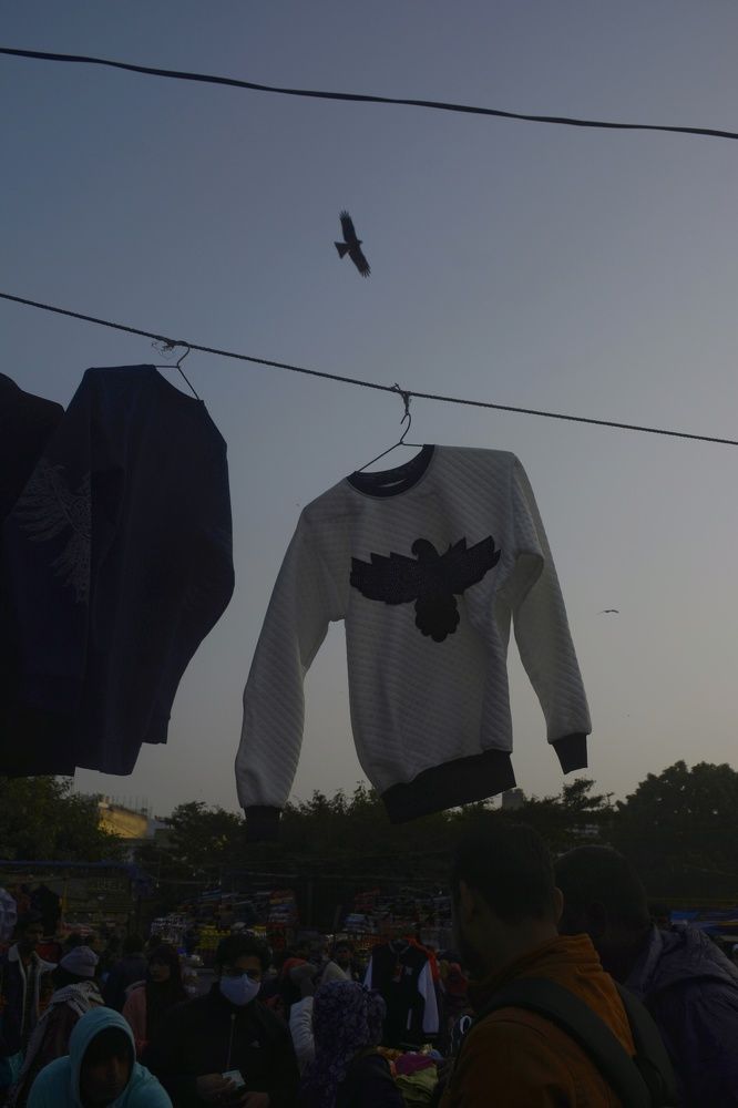 Photograph by Shreya Pandey