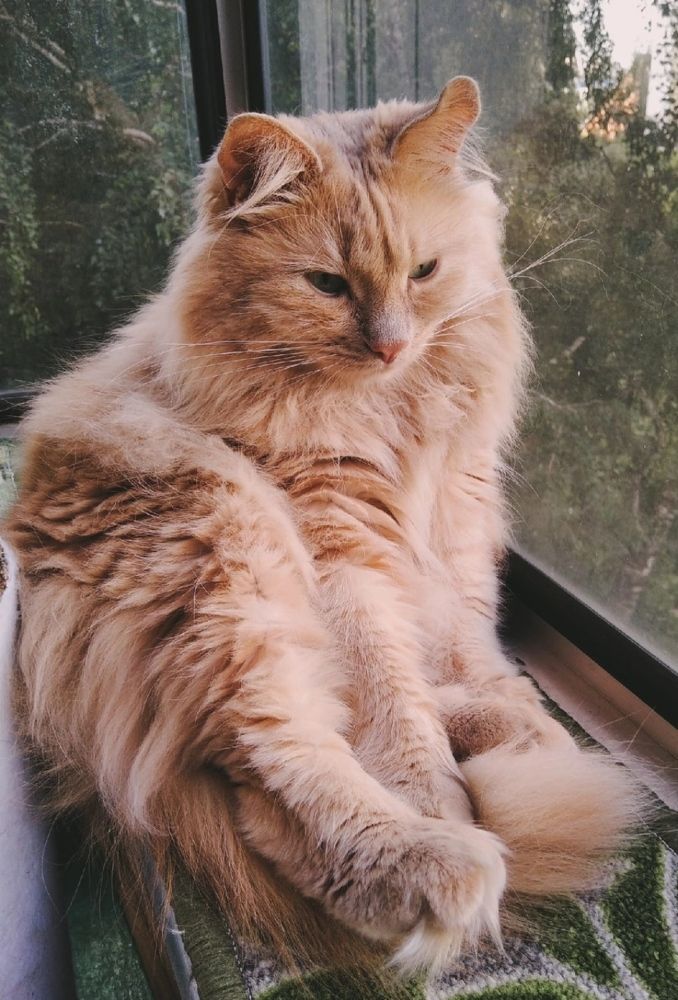 Photograph by Сидорова Ирина